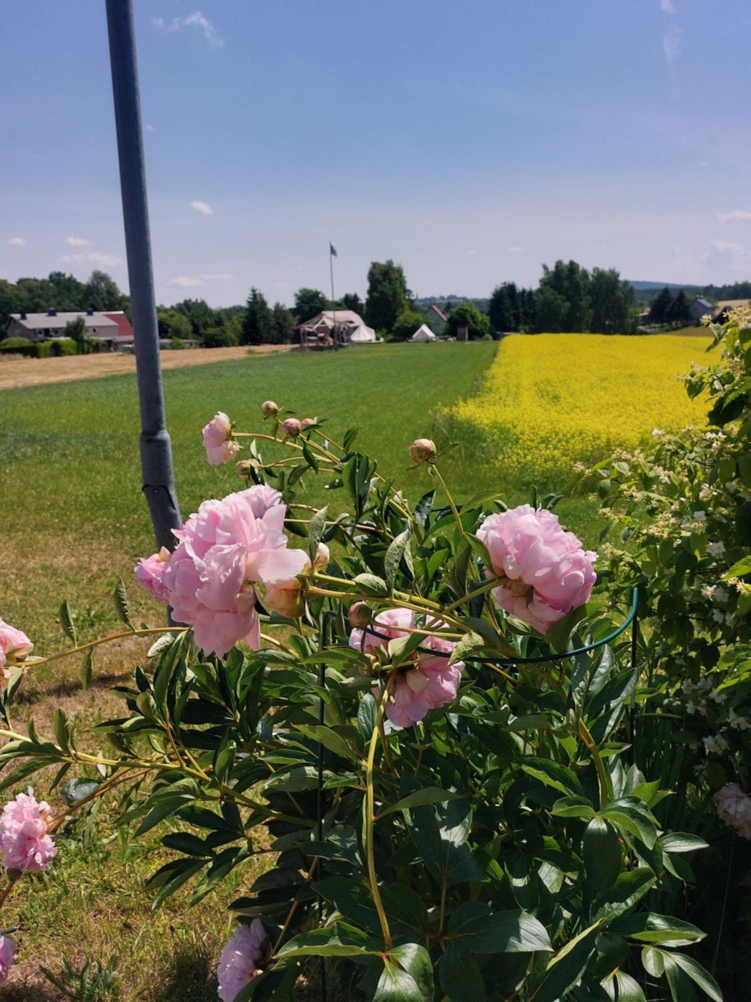 Autark-Camp Gleis A. Hotel Durrhennersdorf Екстериор снимка